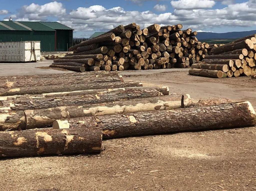 Calidad de nuestra madera de pino silvestre