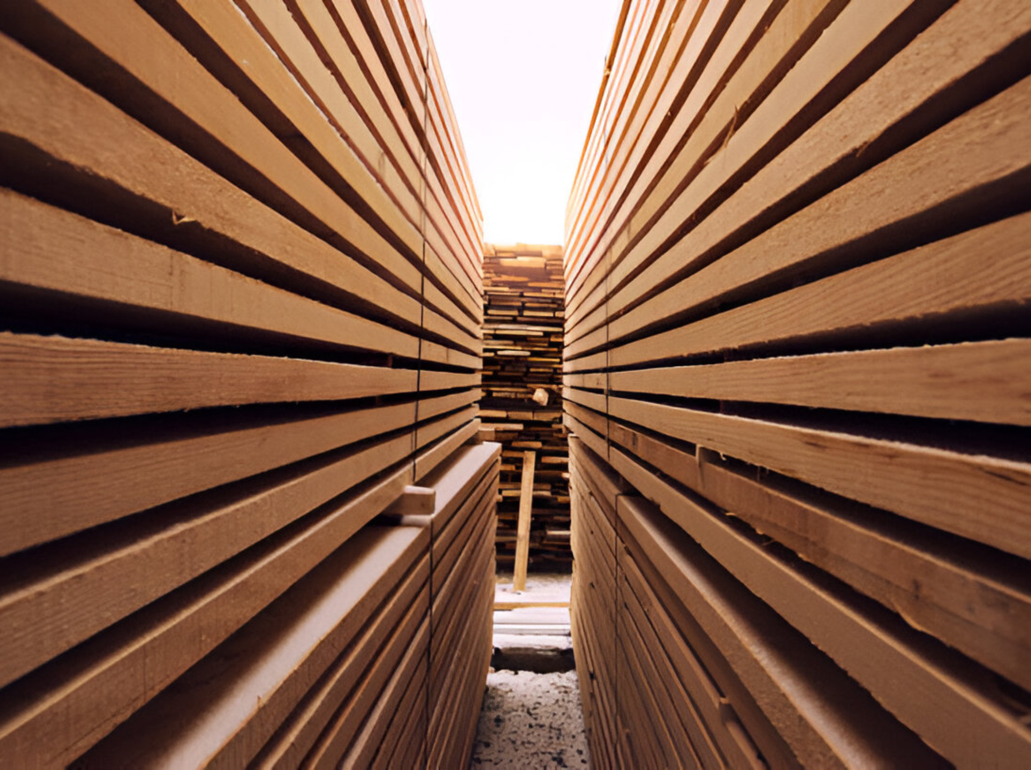 secado técnico de la madera